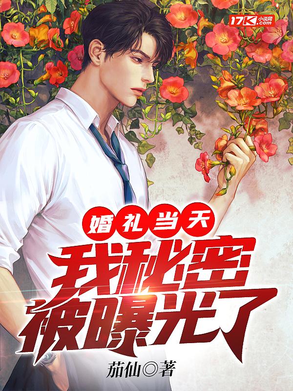 婚礼当天我秘密被曝光了 茄仙
