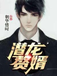 潜龙赘婿韩枫苏迎雪