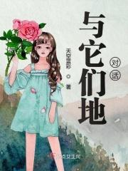 与他进行对话 翻译