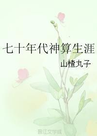 七十年代神算生涯讲什么