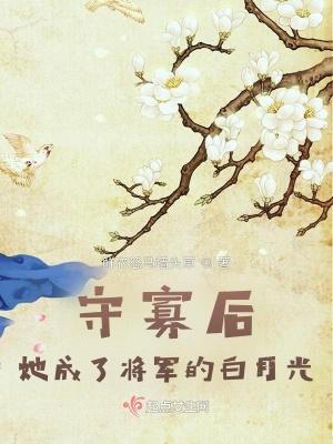 守寡以后txt