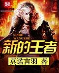 新的王者第一季 电视剧