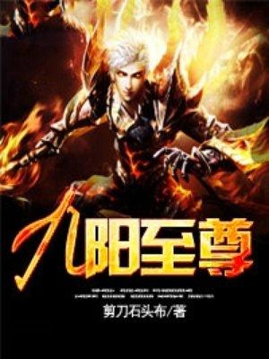 九阳至尊境界