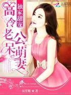 独家宠婚高冷老公呆萌妻全文免费阅读