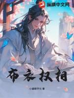 布衣竞争