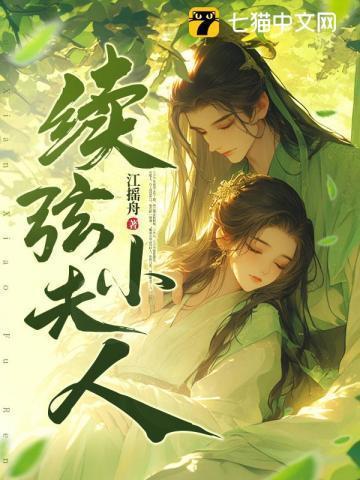 续弦小夫人完结了吗