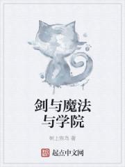剑与魔法与学院3D 汉化