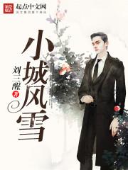 小城的雨啊小城的风