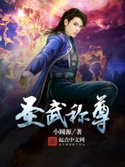 圣武称尊等级