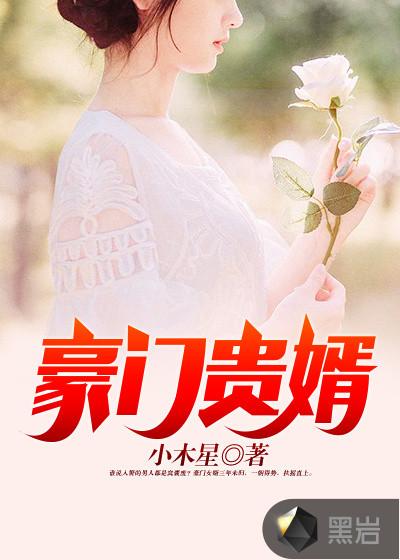 豪门贵婿100集完全版