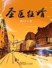 圣医狂婿 沈子星