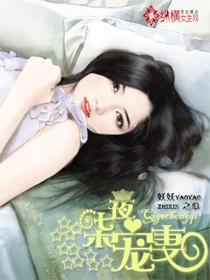 七夜宠妻辛晴全本免费阅读